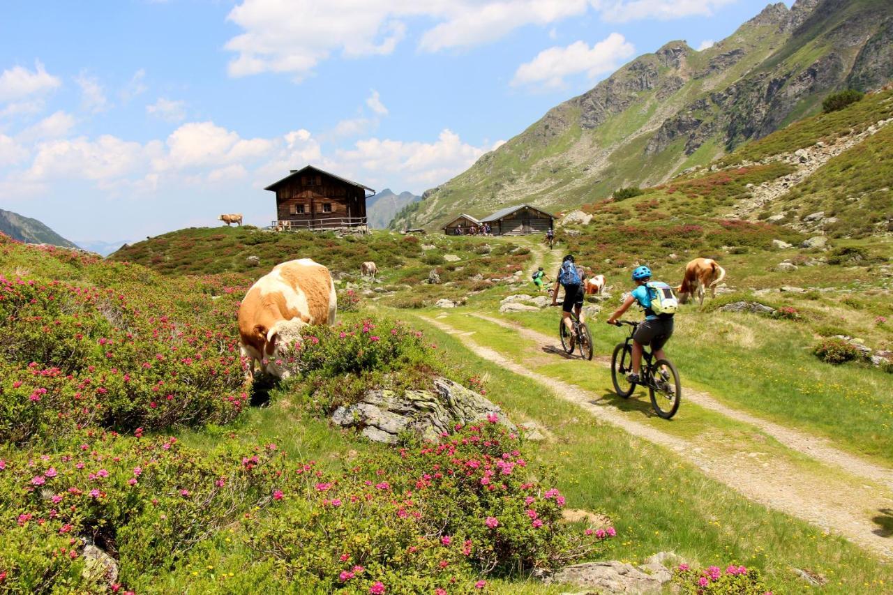 Rohrmooser Schloessl Schladming Eksteriør billede